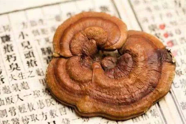 靈芝有哪幾種 靈芝買什么樣的最好 靈芝有哪幾種 靈芝買什么樣的最好