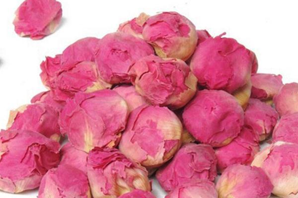 牡丹花茶會(huì)上火嗎 牡丹花茶的藥用價(jià)值 牡丹花茶會(huì)上火嗎 牡丹花茶的藥用價(jià)值