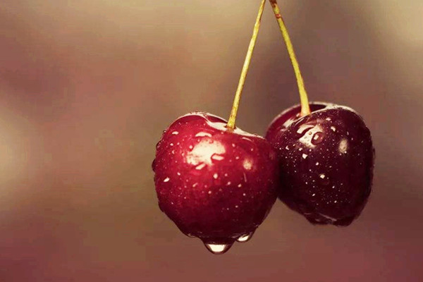 櫻桃需要用鹽水泡嗎 櫻桃用鹽水泡多長時(shí)間