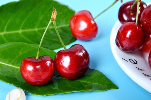 櫻桃能用來泡酒嗎 櫻桃泡酒有什么作用 櫻桃能用來泡酒嗎 櫻桃泡酒有什么作用