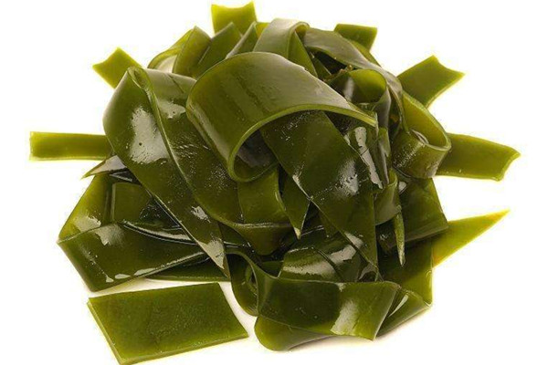 海帶是不是藻類植物 海帶是不是涼性的 海帶是不是藻類植物 海帶是不是涼性的