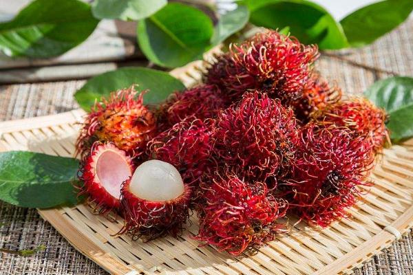 紅毛丹可以直接吃嗎 紅毛丹可以吃核嗎 紅毛丹可以直接吃嗎 紅毛丹可以吃核嗎