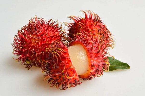 紅毛丹可以直接吃嗎 紅毛丹可以吃核嗎 紅毛丹可以直接吃嗎 紅毛丹可以吃核嗎