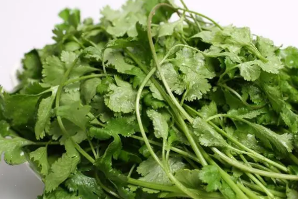 香菜一次吃多少合適 香菜可以每天吃嗎 香菜一次吃多少合適 香菜可以每天吃嗎