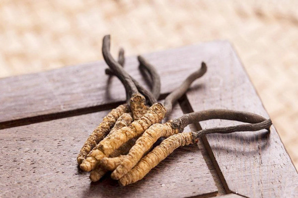 冬蟲夏草能生吃嗎 冬蟲夏草要怎么吃 冬蟲夏草能生吃嗎 冬蟲夏草要怎么吃