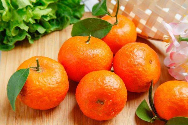 沙糖桔的好處與壞處 沙糖桔的營(yíng)養(yǎng)成分 沙糖桔的好處與壞處 沙糖桔的營(yíng)養(yǎng)成分