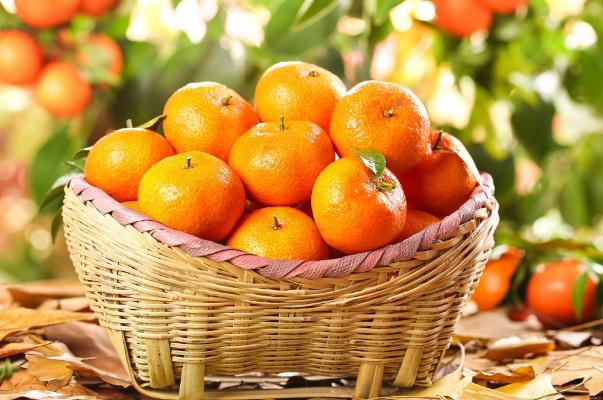 沙糖桔的好處與壞處 沙糖桔的營(yíng)養(yǎng)成分 沙糖桔的好處與壞處 沙糖桔的營(yíng)養(yǎng)成分