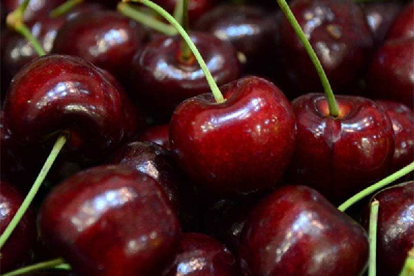 車厘子可以補血么 車厘子和營養(yǎng)價值和食用功效