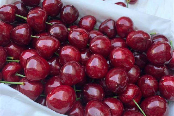 車?yán)遄邮羌t色的好還是深色的好 車?yán)遄淤I哪種最好 車?yán)遄邮羌t色的好還是深色的好 車?yán)遄淤I哪種最好