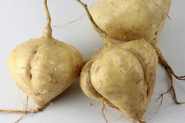 涼薯有淀粉嗎 涼薯會(huì)脹氣嗎 涼薯有淀粉嗎 涼薯會(huì)脹氣嗎