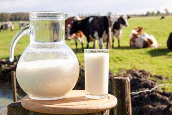 熱牛奶和常溫牛奶哪個好 熱牛奶和常溫牛奶的區(qū)別 熱牛奶和常溫牛奶哪個好 熱牛奶和常溫牛奶的區(qū)別