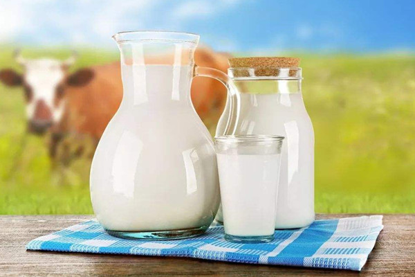 熱牛奶和常溫牛奶哪個好 熱牛奶和常溫牛奶的區(qū)別 熱牛奶和常溫牛奶哪個好 熱牛奶和常溫牛奶的區(qū)別