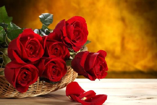 玫瑰花的功效和作用 玫瑰花可以天天泡水喝嗎 玫瑰花的功效和作用 玫瑰花可以天天泡水喝嗎