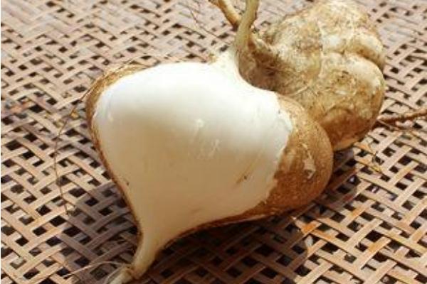 涼薯是涼性還是熱性 涼薯上火還是降火 涼薯是涼性還是熱性 涼薯上火還是降火