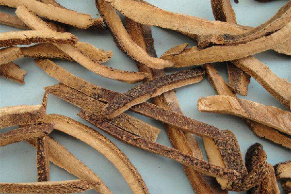 化橘紅泡水太苦怎么辦 化橘紅泡水正確方法 化橘紅泡水太苦怎么辦 化橘紅泡水正確方法