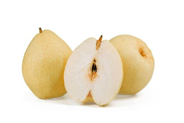 雪梨是皇冠梨嗎 雪梨是不是寒性水果 雪梨是皇冠梨嗎 雪梨是不是寒性水果