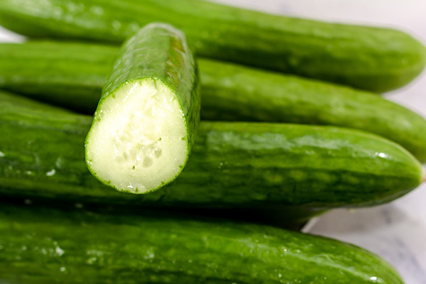 黃瓜可以降火氣嗎 黃瓜可以放冰箱保鮮嗎 黃瓜可以降火氣嗎 黃瓜可以放冰箱保鮮嗎