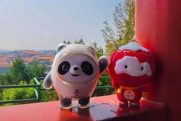 新春特別版冰墩墩形象曝光 冰墩墩多少錢一只 新春特別版冰墩墩形象曝光 冰墩墩多少錢一只