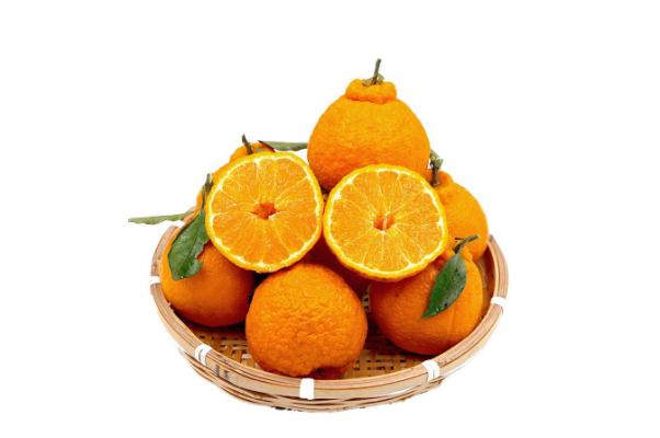 丑橘孕婦吃有什么好處 懷孕初期吃丑橘有什么影響嗎 丑橘孕婦吃有什么好處 懷孕初期吃丑橘有什么影響嗎