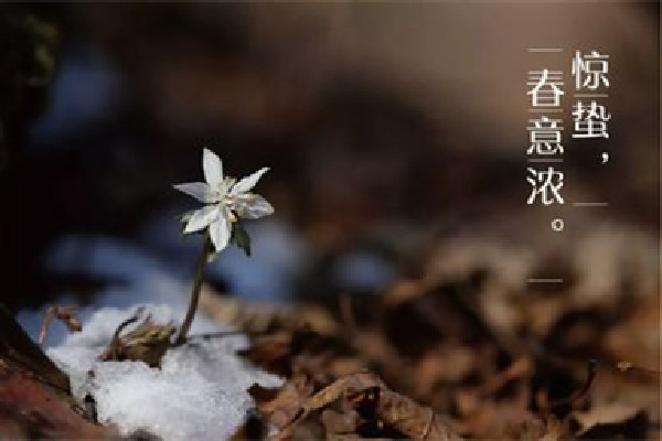 驚蟄過后天氣變暖了嗎 驚蟄過后還會冷嗎 驚蟄過后天氣變暖了嗎 驚蟄過后還會冷嗎