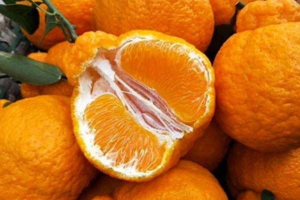 丑橘的熱量 丑橘含糖量高嗎 丑橘的熱量 丑橘含糖量高嗎