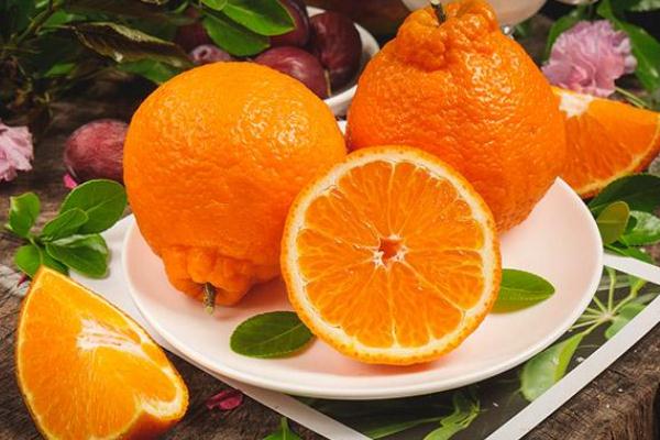 丑橘可以多吃嗎 丑橘可以和牛奶一起吃嗎 丑橘可以多吃嗎 丑橘可以和牛奶一起吃嗎