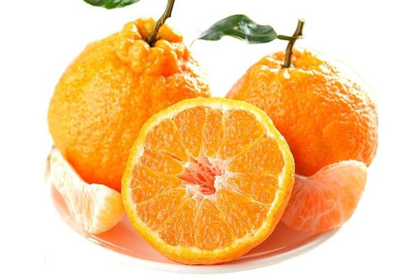 丑橘的營養(yǎng)價值 丑橘的保存方法 丑橘的營養(yǎng)價值 丑橘的保存方法