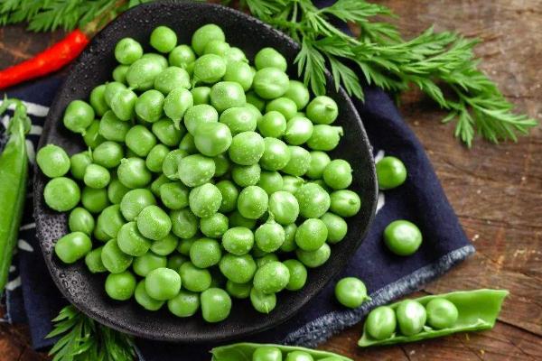 豌豆發(fā)芽了還可以吃嗎 豌豆是毛豆嗎 豌豆發(fā)芽了還可以吃嗎 豌豆是毛豆嗎