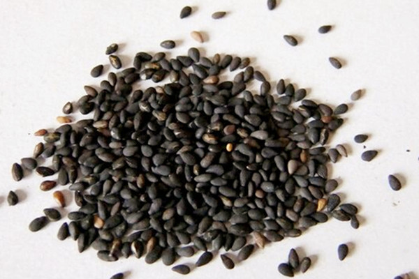 黑芝麻會發(fā)霉嗎 黑芝麻發(fā)霉了能吃嗎 黑芝麻會發(fā)霉嗎 黑芝麻發(fā)霉了能吃嗎