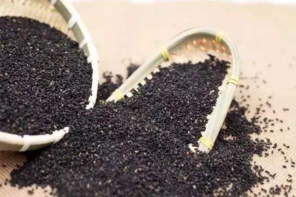 黑芝麻怎么選購 黑芝麻怎么清洗 黑芝麻怎么選購 黑芝麻怎么清洗