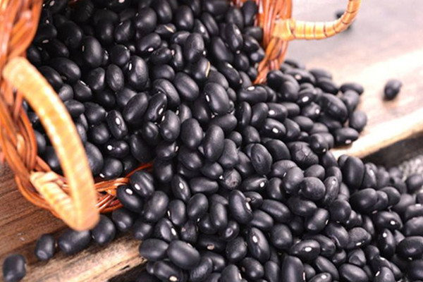 黑豆可以每天吃嗎 黑豆每天吃多少合適 黑豆可以每天吃嗎 黑豆每天吃多少合適