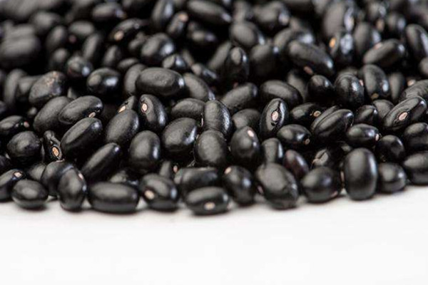 黑豆的營養(yǎng)價(jià)值 黑豆吃多了有什么壞處 黑豆的營養(yǎng)價(jià)值 黑豆吃多了有什么壞處
