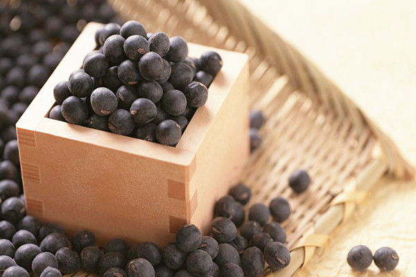 黑豆的營養(yǎng)價(jià)值 黑豆吃多了有什么壞處 黑豆的營養(yǎng)價(jià)值 黑豆吃多了有什么壞處