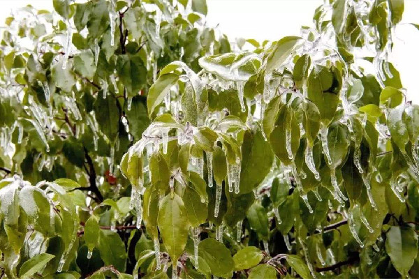 倒春寒穿什么衣服 倒春寒要冷多久 倒春寒穿什么衣服 倒春寒要冷多久