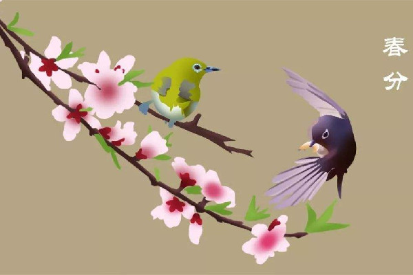 春分時(shí)太陽(yáng)直射在什么地方 春分時(shí)候氣溫一般在多少度