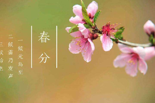 春分時(shí)太陽(yáng)直射在什么地方 春分時(shí)候氣溫一般在多少度