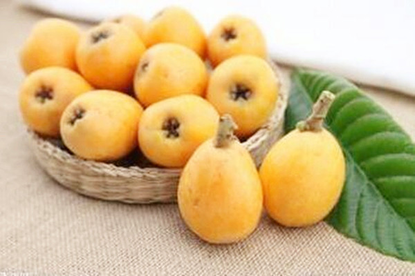 枇杷對咳嗽有用嗎 枇杷對慢性咽炎有效嗎 枇杷對咳嗽有用嗎 枇杷對慢性咽炎有效嗎