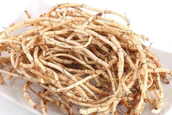 折耳根要焯水嗎 折耳根要煮多久 折耳根要焯水嗎 折耳根要煮多久