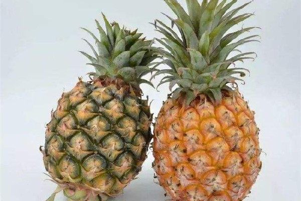 菠蘿切開心是褐色的能吃嗎 菠蘿變質(zhì)是什么樣的 菠蘿切開心是褐色的能吃嗎 菠蘿變質(zhì)是什么樣的