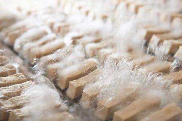 毛豆腐孕婦可以吃嗎 毛豆腐的來源和歷史 毛豆腐孕婦可以吃嗎 毛豆腐的來源和歷史