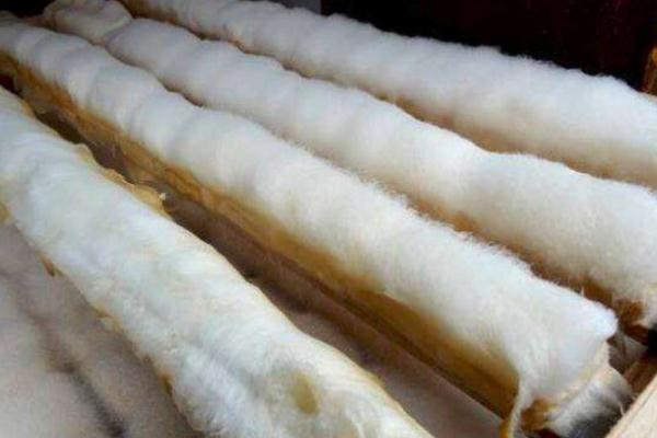 毛豆腐的毛能不能吃 毛豆腐可不可以直接吃 毛豆腐的毛能不能吃 毛豆腐可不可以直接吃