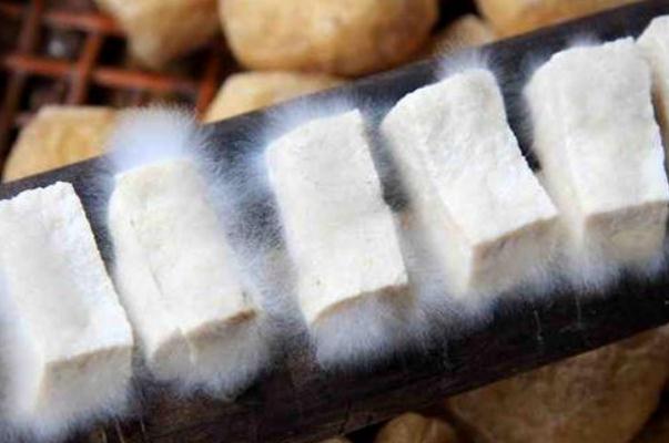 毛豆腐的營(yíng)養(yǎng)與功效 毛豆腐對(duì)人身體有害嗎 毛豆腐的營(yíng)養(yǎng)與功效 毛豆腐對(duì)人身體有害嗎