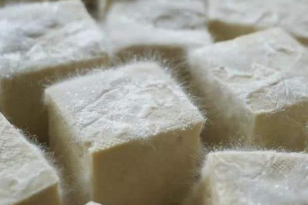 毛豆腐要不要通風 毛豆腐要冷藏嗎 毛豆腐要不要通風 毛豆腐要冷藏嗎