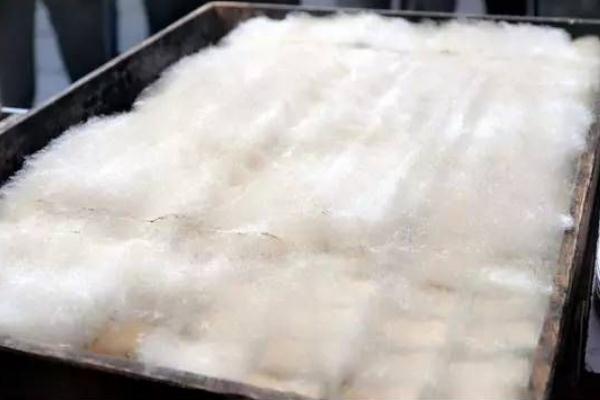 毛豆腐要不要通風 毛豆腐要冷藏嗎 毛豆腐要不要通風 毛豆腐要冷藏嗎