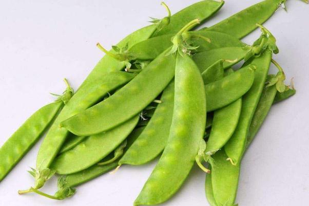 荷蘭豆的壞處 荷蘭豆有毒嗎 荷蘭豆的壞處 荷蘭豆有毒嗎