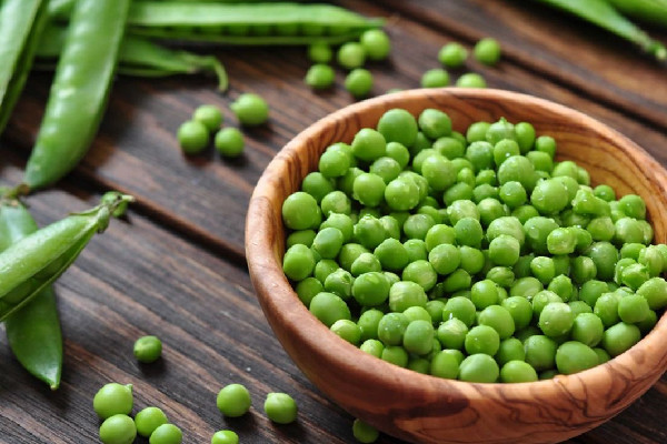 青豆發(fā)芽了還可以吃嗎 青豆發(fā)芽了有毒嗎 青豆發(fā)芽了還可以吃嗎 青豆發(fā)芽了有毒嗎