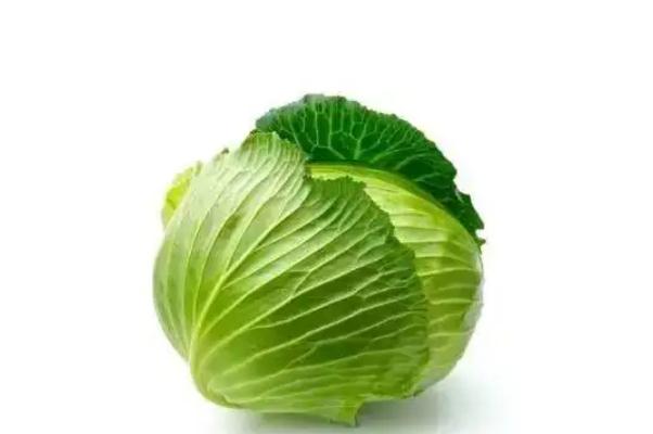 卷心菜怎么炒比較好吃 卷心菜的熱量 卷心菜怎么炒比較好吃 卷心菜的熱量