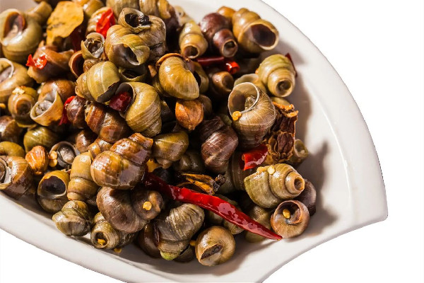 螺螄什么時候最好吃 螺螄是什么動物 螺螄什么時候最好吃 螺螄是什么動物