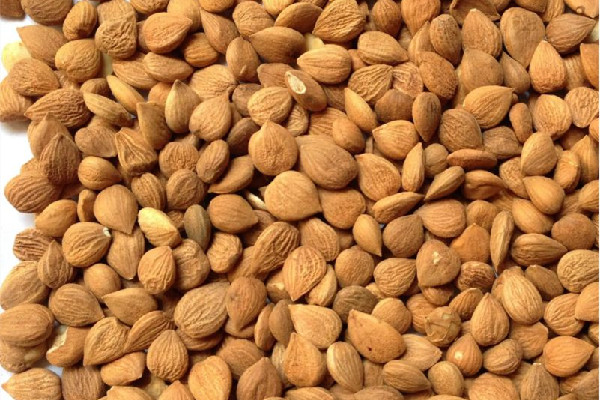 苦杏仁會導致流產(chǎn)嗎 ?苦杏仁對孕婦有影響嗎