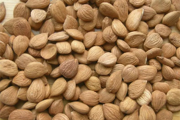 苦杏仁孕婦能吃嗎 苦杏仁不能和什么一起吃 苦杏仁孕婦能吃嗎 苦杏仁不能和什么一起吃